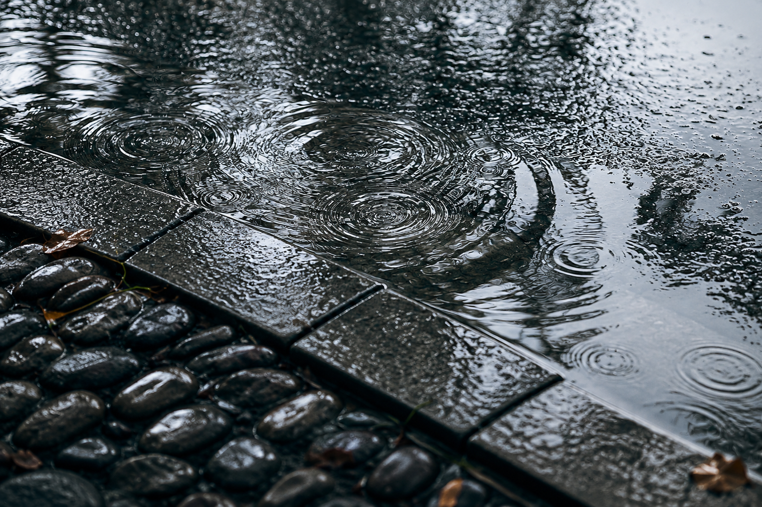 Can Silk Embroidery Get Wet? What to Do When Rain Finds Your Bag
