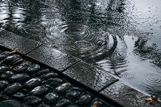 Can Silk Embroidery Get Wet? What to Do When Rain Finds Your Bag
