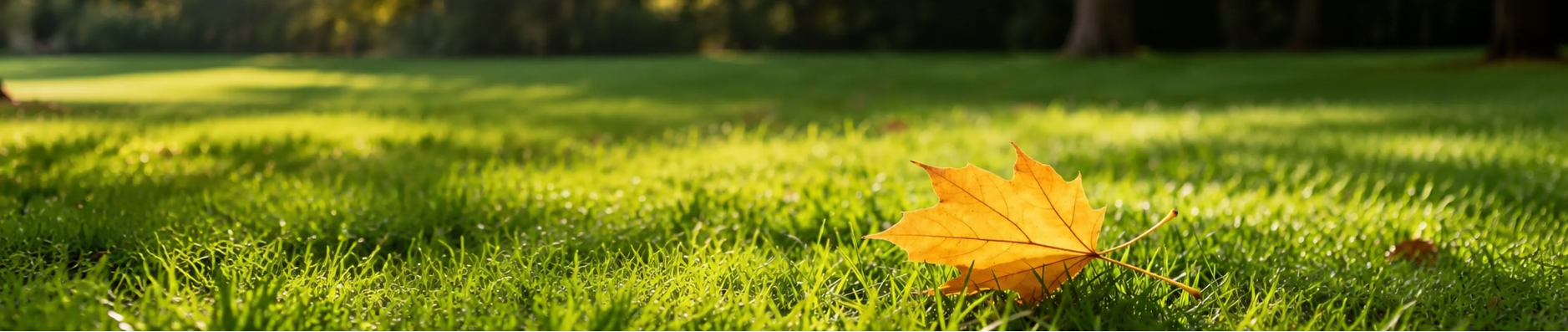 China's 24 Solar Terms — Chushu (End of Heat)